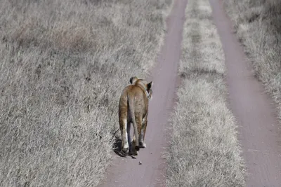 DSC_3944 (Large).JPG